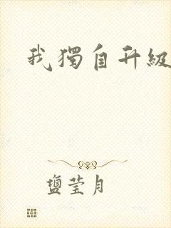 我独自升级小说