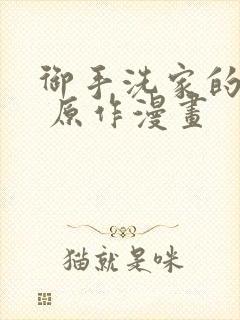 御手洗家的事情 原作漫画