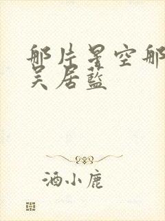 那片星空那片海吴居蓝