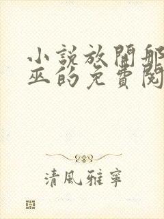 小说放开那个女巫的免费阅读封面