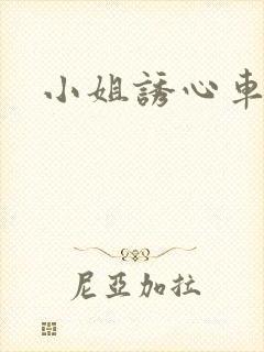 小姐诱心车震封面