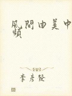 风间由美中文视频封面