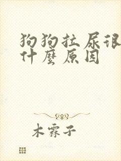 狗狗拉尿很黄是什么原因