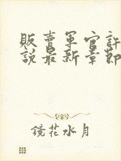 贩卖军官许静小说最新章节更新时间