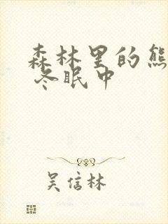 森林里的熊先生 冬眠中