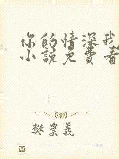 你的情深我不配小说免费看