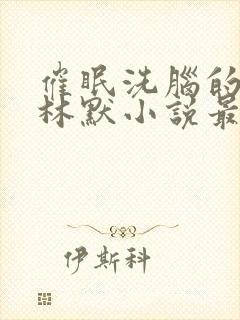 催眠洗脑的姐姐林默小说最新章节更封面