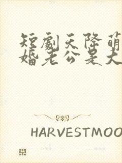 短剧天降萌宝闪婚老公是大佬