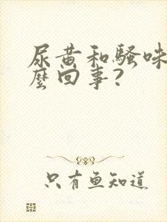 尿黄和骚味重怎么回事?