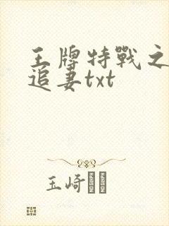 王牌特战之军少追妻txt封面