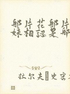 那片花那片海姐妹相认是哪一集