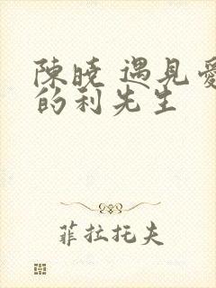 陈晓 遇见爱情的利先生