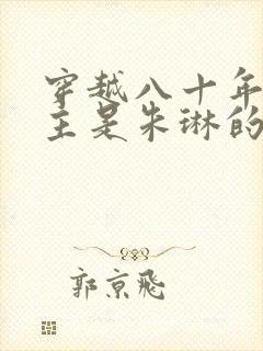 穿越八十年代女主是朱琳的小说