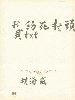 我的死对头酱子贝txt