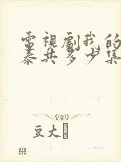 电视剧我的阿勒泰共多少集