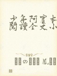 少年阿宾本全文阅读全文小说