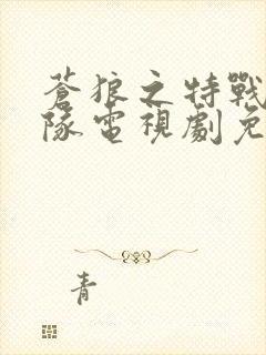 苍狼之特战突击队电视剧免费观看