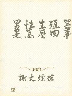 男性生殖器肉粒是怎么回事