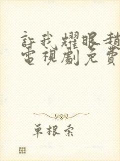 许我耀眼赵露思电视剧免费观看全集在线播放