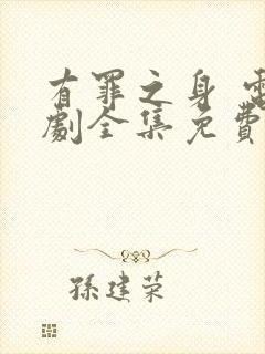 有罪之身 电视剧全集免费观看