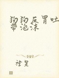 狗狗反胃吐黄水带泡沫