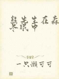 熊先生在森林里冬眠中封面