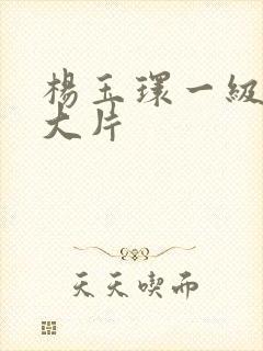 杨玉环一级特黄大片