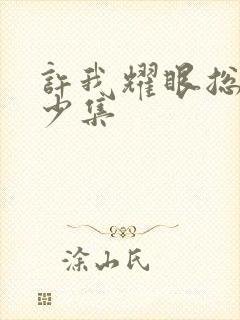 许我耀眼总共多少集