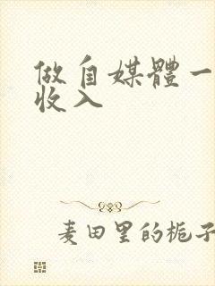 做自媒体一个月收入封面