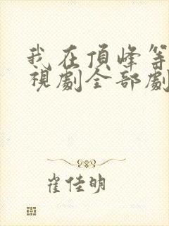 我在顶峰等你电视剧全部剧集封面