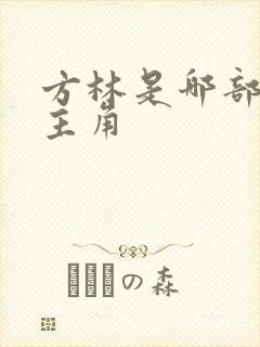 方林是哪部小说主角