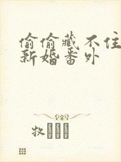 偷偷藏不住小说新婚番外