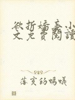 欲折娇妾小说全文免费阅读封面