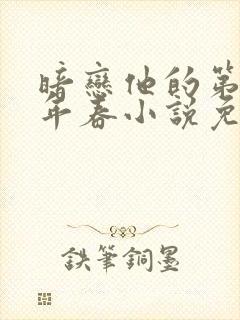 暗恋他的第十一年春小说免费阅读