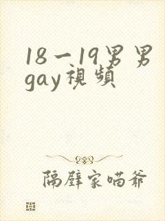 18一19男男gay视频
