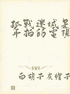 孤战迷城是哪一年拍的电视剧封面