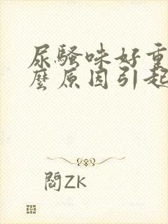 尿骚味好重是什么原因引起的