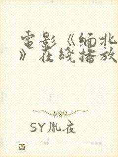 电影《缅北行动》在线播放免费观看封面