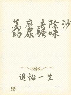 怎么去除沙发上的尿骚味