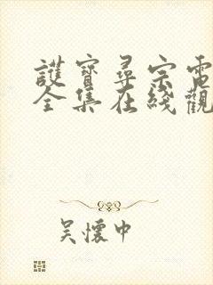 护宝寻宗电视剧全集在线观看免费播放封面