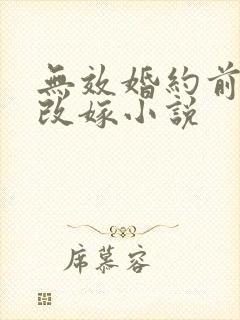 无效婚约前妻要改嫁小说封面