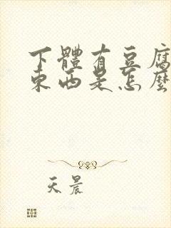 下体有豆腐渣的东西是怎么回事封面