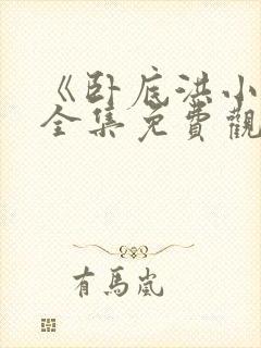 《卧底洪小姐》全集免费观看