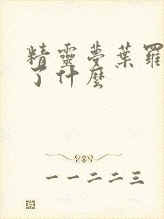 精灵梦叶罗丽讲了什么封面