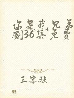 你是我兄弟电视剧36集免费放封面