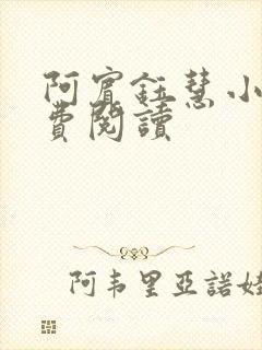 阿宾钰慧小说免费阅读封面