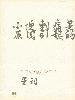 小便刺痛是什么原因引起的男性