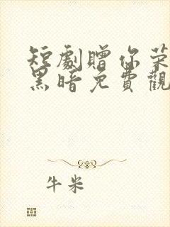 短剧赠你荣耀与黑暗免费观看