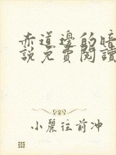 赤道边的暗恋小说免费阅读txt封面