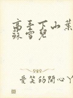 高手下山叶君临苏雪儿